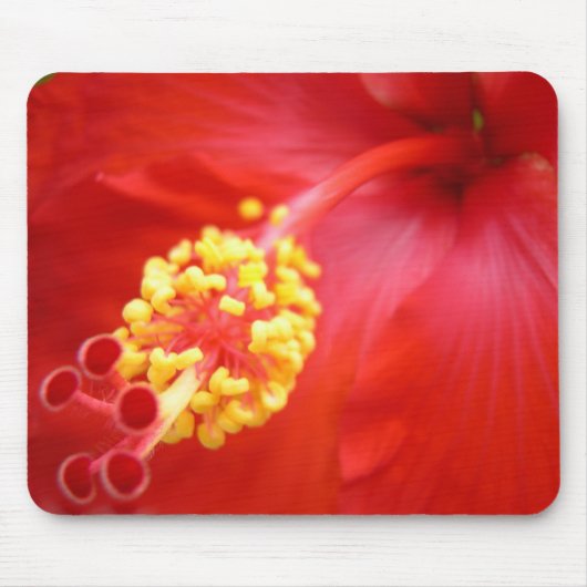 Tapis De Souris Ketmie rouge Mousepad (Devant)