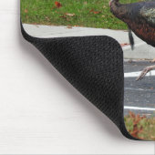 Tapis De Souris Kevin The Turkey - Old Wethersfield, CT (Coin)