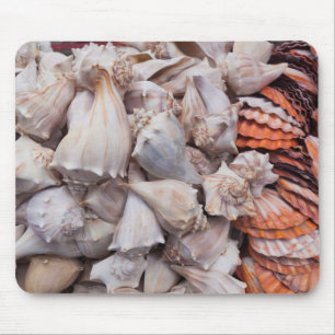 Tapis De Souris Key West, coquillages