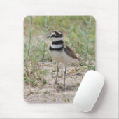 Tapis De Souris Killdeer Mousepad (Avec souris)
