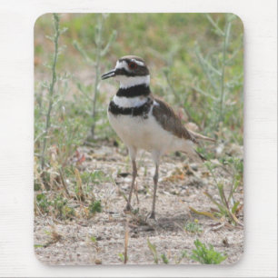 Tapis De Souris Killdeer Mousepad