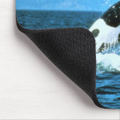 Tapis De Souris Killer Whale (Coin)