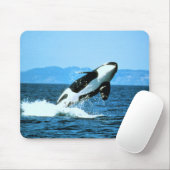 Tapis De Souris Killer Whale (Avec souris)