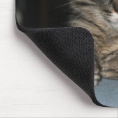 Tapis De Souris Kimber Kitty écrit "Oh Really ?" Mouspad (Coin)