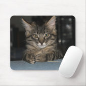 Tapis De Souris Kimber Kitty écrit "Oh Really ?" Mouspad (Avec souris)