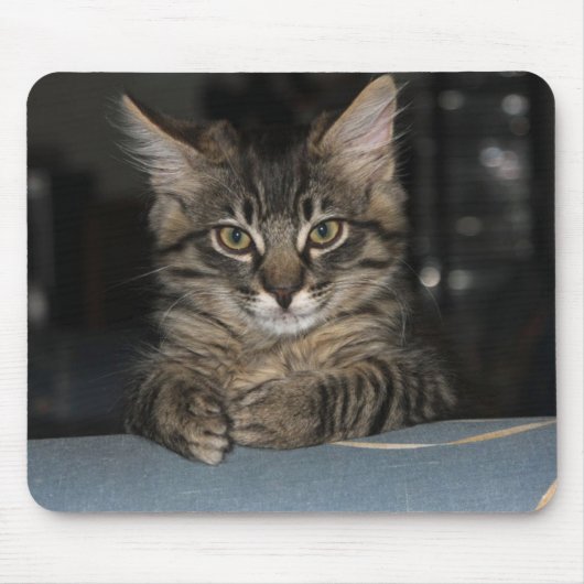Tapis De Souris Kimber Kitty écrit "Oh Really ?" Mouspad (Devant)