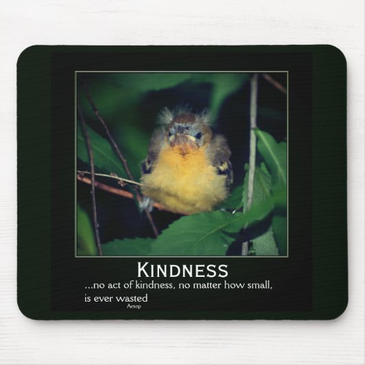 Tapis De Souris Kindness Baby Oriole Inspirational (Devant)