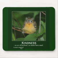 Kindness Baby Oriole Motivational Mousepad