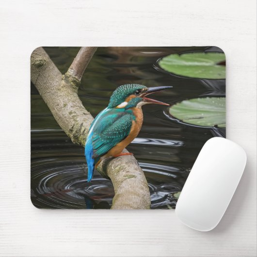 Tapis De Souris Kingfisher Bird (Avec souris)