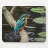 Tapis De Souris Kingfisher Bird (Devant)