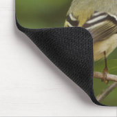 Tapis De Souris Kinglet couronné de rubis masculin, Regulus calend (Coin)