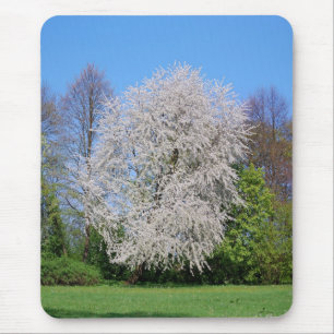 Tapis De Souris Kirschbaum