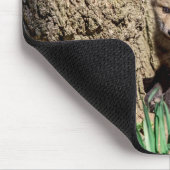 Tapis De Souris Kit Fox dans la vallée de l'Hudson (Coin)