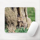 Tapis De Souris Kit Fox dans la vallée de l'Hudson (Avec souris)