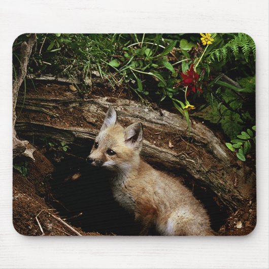 Tapis De Souris Kit Red Fox (Devant)