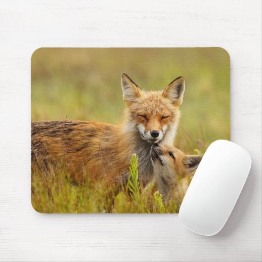 Tapis De Souris Kit Renard Rouge vers le haut de Momma (Avec souris)