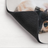 Tapis De Souris Kitten (Coin)