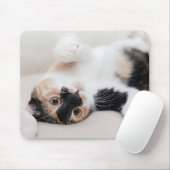 Tapis De Souris Kitten (Avec souris)
