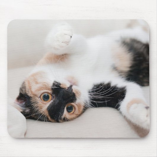 Tapis De Souris Kitten (Devant)