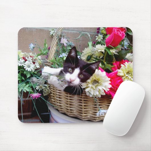 Tapis De Souris Kitten (Avec souris)