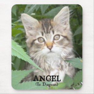 Tapis De Souris KITTEN = ANGEL, (Dans le déguisement)
