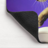 Tapis De Souris Kitten avec souris d'ordinateur (Coin)