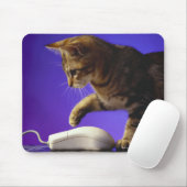 Tapis De Souris Kitten avec souris d'ordinateur (Avec souris)