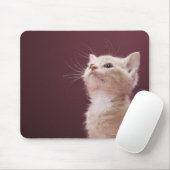 Tapis De Souris Kitten avec Whiskers (Avec souris)