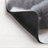 Tapis De Souris Kitten bleu russe (Coin)