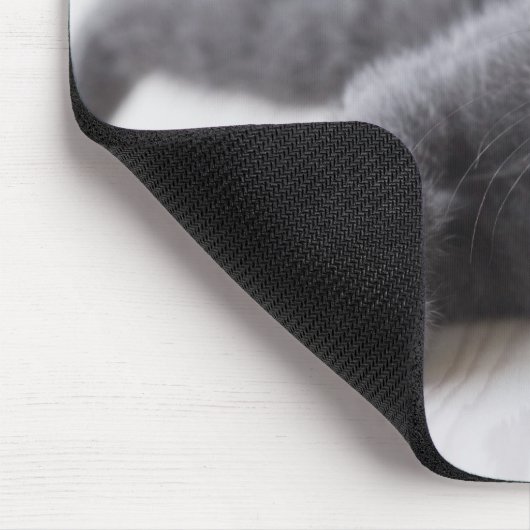 Tapis De Souris Kitten bleu russe (Coin)