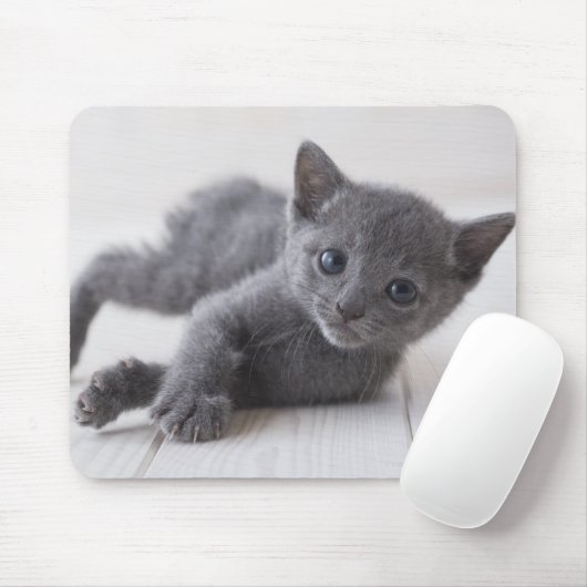 Tapis De Souris Kitten bleu russe (Avec souris)