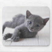 Tapis De Souris Kitten bleu russe (Devant)