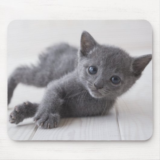Tapis De Souris Kitten bleu russe (Devant)