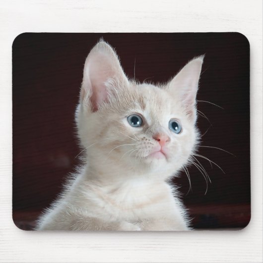 Tapis De Souris Kitten Cutie (Devant)