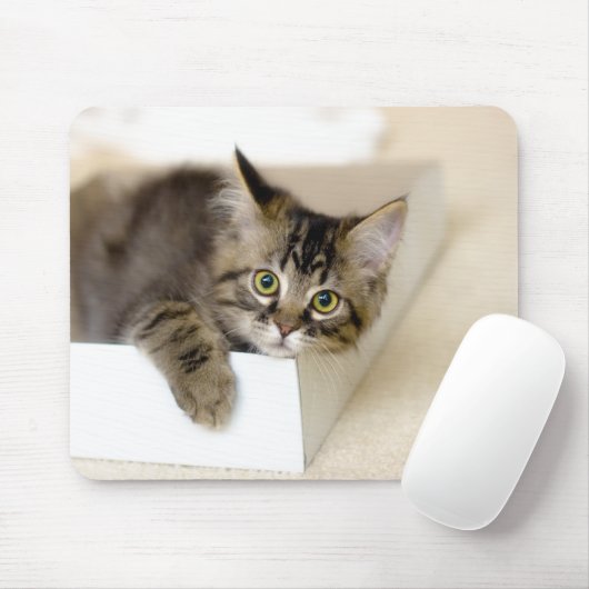 Tapis De Souris Kitten dans une boîte mousepad (Avec souris)