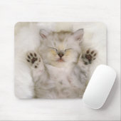 Tapis De Souris Kitten dormant sur un tapis blanc, haut (Avec souris)