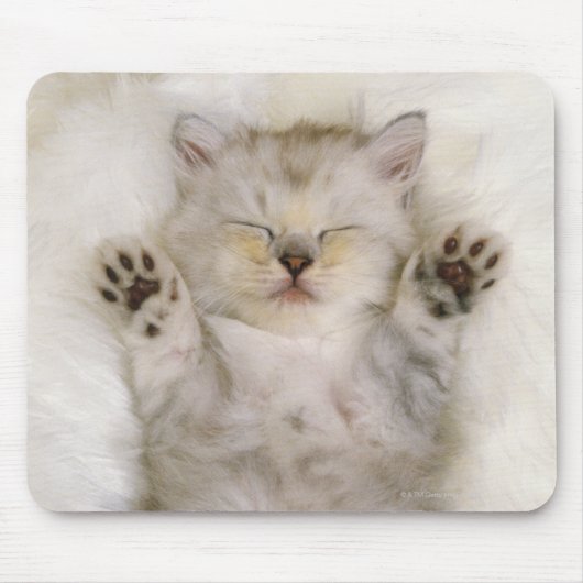 Tapis De Souris Kitten dormant sur un tapis blanc, haut (Devant)