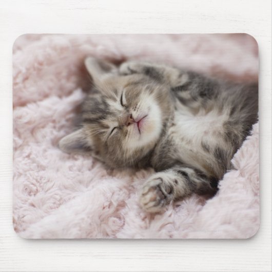 Tapis De Souris Kitten Dormir sur la serviette (Devant)