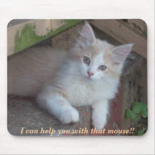 Tapis De Souris KITTEN : Je peux vous aider avec cette souris ! !