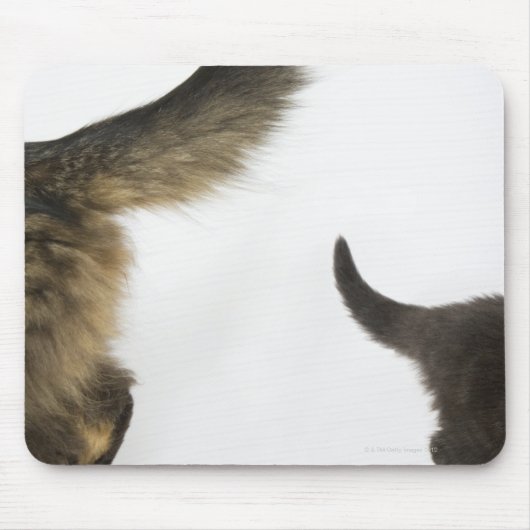 Tapis De Souris Kitten Regardez la queue de sa mère (Devant)