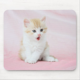 Tapis De Souris Kitten sur Arrière - plan rose