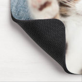 Tapis De Souris Kitten sur mon genou (Coin)