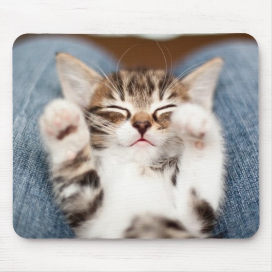Tapis De Souris Kitten sur mon genou (Devant)