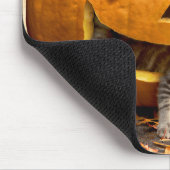 Tapis De Souris Kittens in Jack-o-Lantern (Coin)