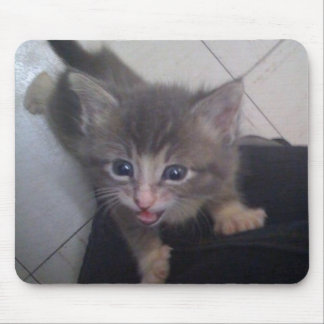 Tapis De Souris kittty