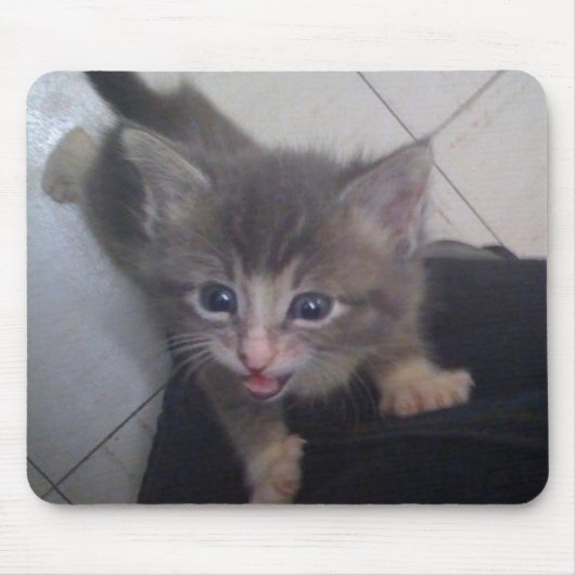 Tapis De Souris kittty (Devant)