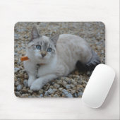 Tapis De Souris Kitty (Avec souris)