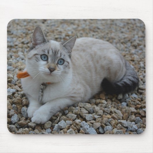 Tapis De Souris Kitty (Devant)