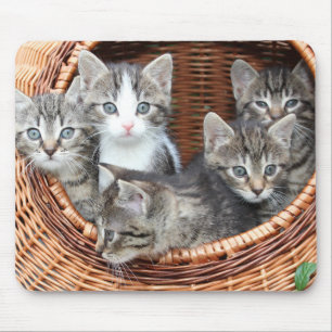 Tapis De Souris Kitty Chat Kittens Dans Un Panier Panier