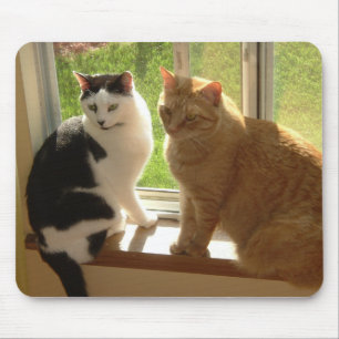 Tapis De Souris Kitty Chat Love